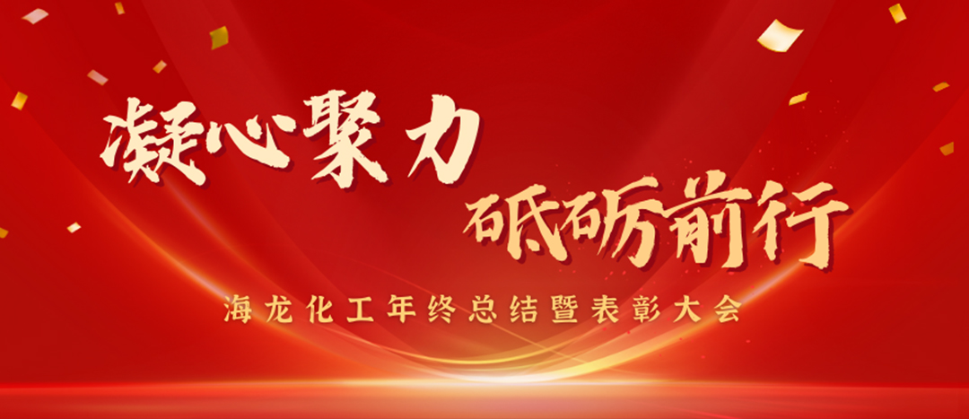 表彰 | 凝心聚力，砥礪前行，海龍化工年終總結暨表彰大會圓滿舉行